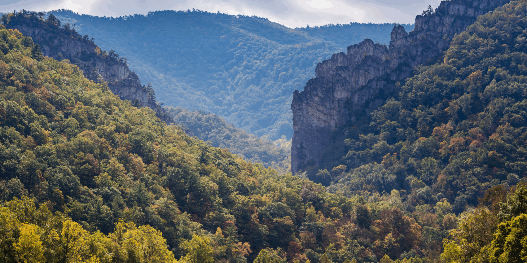 Elkins Woman Found Dead After Serious Car Accident