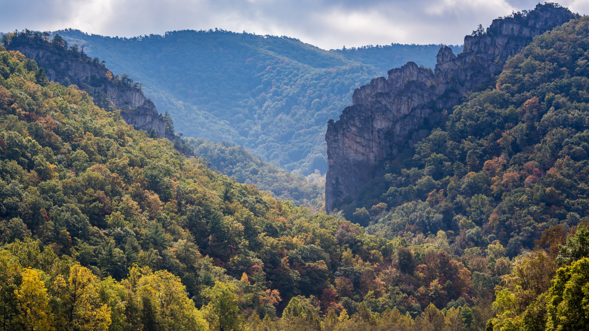 Elkins Woman Found Dead After Serious Car Accident 